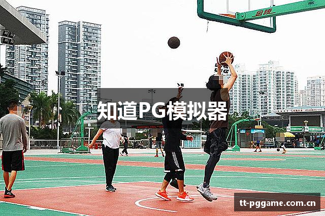 知道PG模拟器